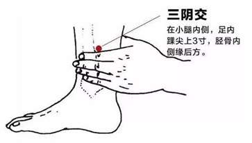 三阴焦位置图和作用 三阴焦定位方法