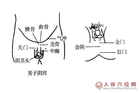 男子阴窍按摩穴位图